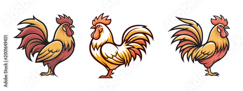 Roosters collection vector illustration farm animals poultry agricultural bird natural animal.