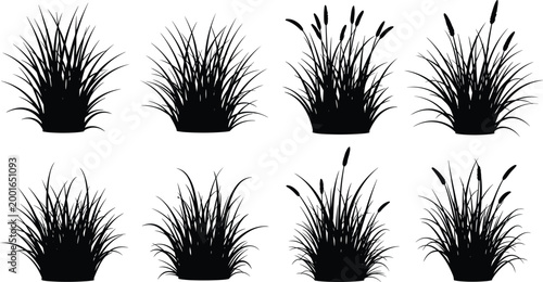 Black grass and reed silhouette collection with cattail plants isolated on white background for nature and landscape design