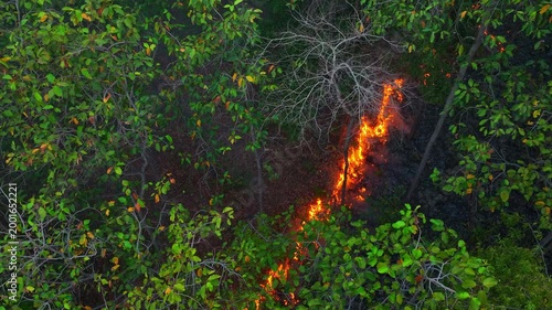 Drone view of tropical forest fire with thick smoke covering landscape, reflecting pollution, global warming, habitat loss, and ecological imbalance. Thailand. 4k.
