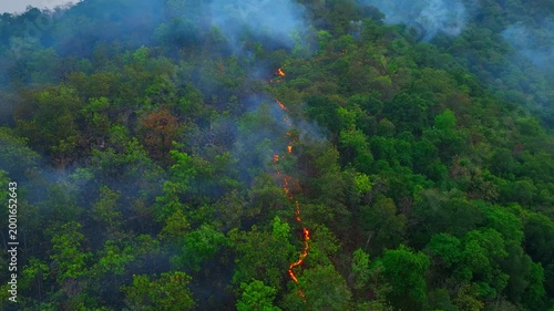 Aerial perspective of wildfire burning across tropical hills, with visible fire lines and smoke, emphasizing ecosystem damage, carbon release, environmental impact, and climate change effects. 4k.
