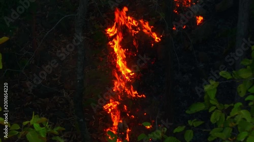 Aerial drone view of tropical forest wildfire with intense flames burning through dense vegetation, highlighting climate change, deforestation, air pollution, biodiversity loss, ecosystem destruction.