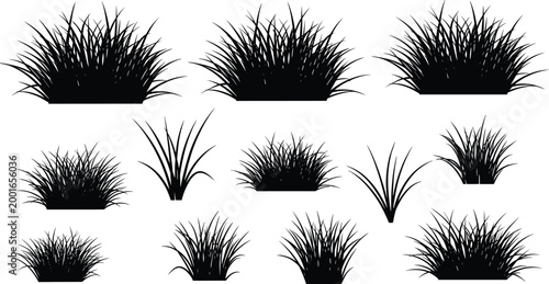 Grass and bush silhouette collection isolated black plant set for landscaping design natural vegetation elements