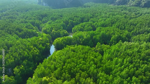 Drone aerial perspective of river flowing through mangrove ecosystem, representing natural carbon sinks, oxygen supply, climate regulation, sustainability, and ecosystem services. Thailand. 4k.

