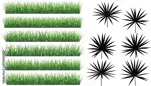 Green grass borders and tropical plant silhouette set isolated collection for landscaping design and natural vegetation elements