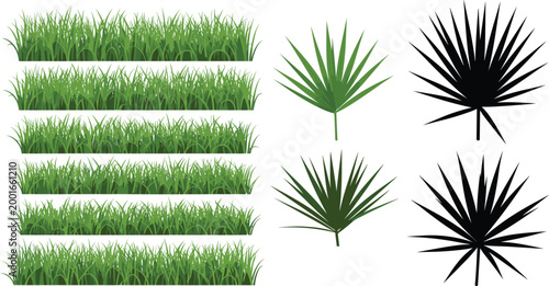 Green grass borders and tropical palm leaf silhouettes set isolated collection for landscaping design natural vegetation elements