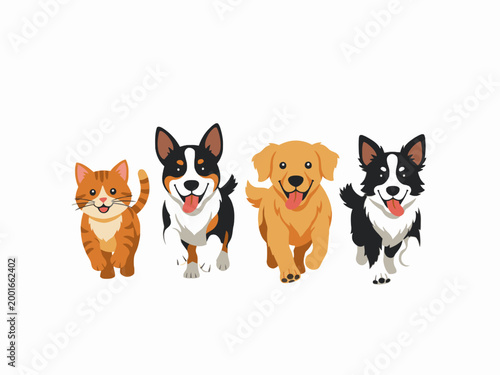 Group of dogs and cat running forward on white background