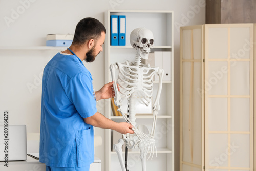 Male doctor examining arm bone of human skeleton model in clinic