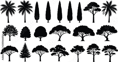 Vector Silhouette Collection of Diverse Tropical and Temperate Trees Including Palms and Cypresses Isolated on White Background for Landscape Design Graphics