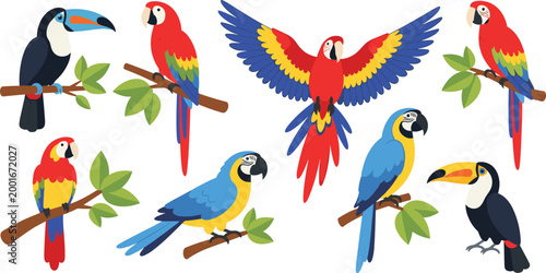 Colorful Tropical Bird Collection with Parrots Macaws and Toucans Sitting on Branches and Flying Cartoon Vector Illustration Set for Nature and Wildlife Design