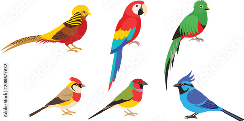 Colorful tropical birds collection with parrot macaw finch and exotic species isolated vector illustration set for wildlife design