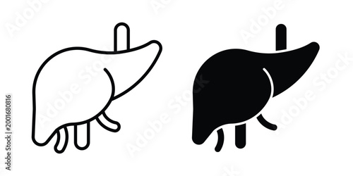 Liver icon with line stroke and black silhouette style