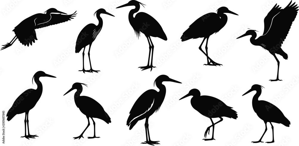 Fototapeta premium Heron bird silhouette crane stork collection