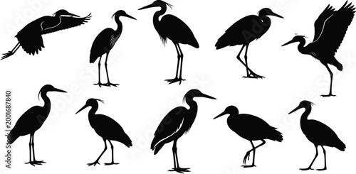Heron bird silhouette crane stork collection