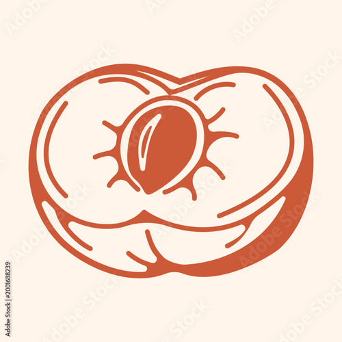 Peach shown as a halved fruit with a visible pit and soft rounded form. Suitable for dessert packaging summer menus botanical themes and natural product illustrations.