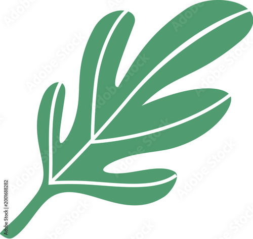 Dandelion leaf