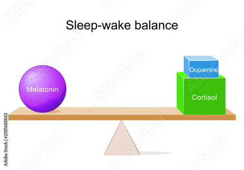 Sleep-wake lever. Hormonal balance of the circadian rhythm melatonin vs cortisol and dopamine