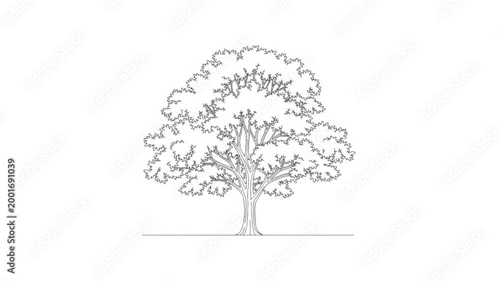 Obraz premium A detailed 2D AutoCAD drawing of a large tree with sprawling branches and leaves