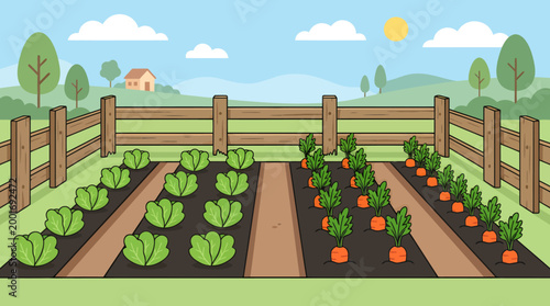 A sunny day in a garden with a fence and plants growing in rows outdoors in nature