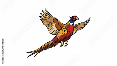 Pheasant bird flying illustration isolated on white