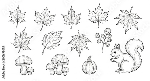 Autumn nature elements collection hand drawn sketch style.