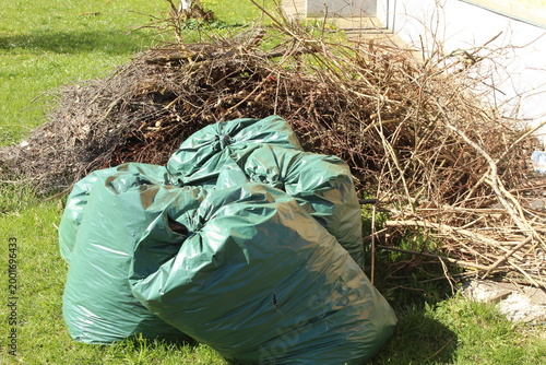 Quadro su tela Green garbage bags filled with yard debris