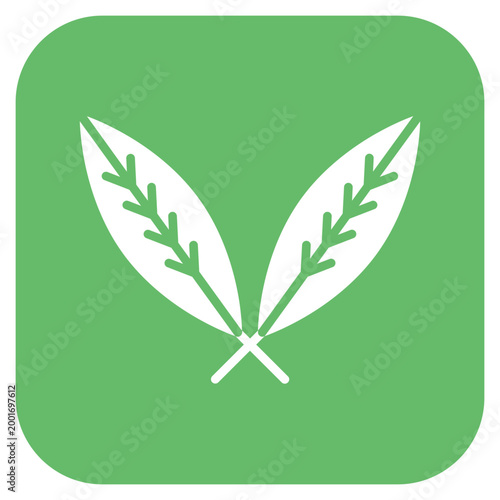 Feathers Icon Style