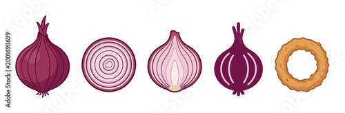 Red onion vegetable illustration set showing a whole bulb, cross section slice, half cut, a simple icon, and a single fried onion ring in a flat cartoon vector style