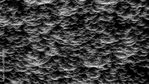 Floating Dandelion Seeds on Black Background – Dreamy Slow Motion. Delicate Dandelion Seeds Drifting in Dark Space