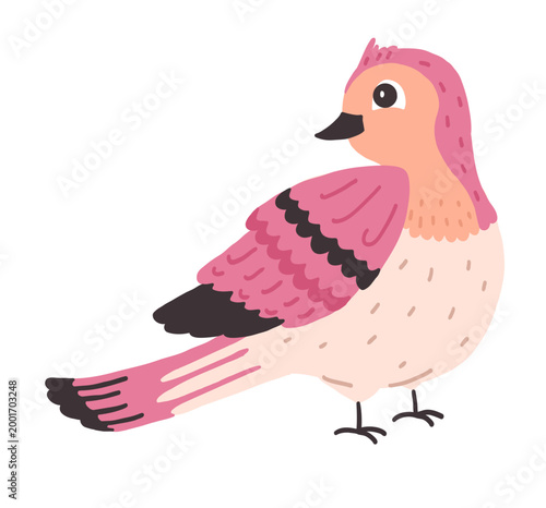 Cute spring bird isolated on transparent background