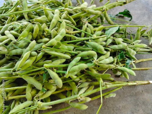 pile of fresh edamame soybean pods with fuzzy texture