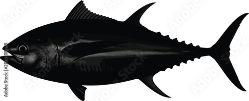 Black silhouette of a tuna fish marine life illustration