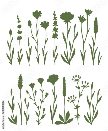 Flowers bundle, wildflowers silhouettes