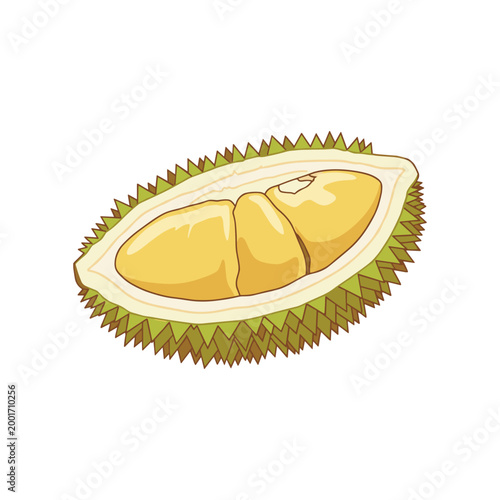 Quadro su tela Half opened durian fruit with creamy yellow flesh and spiky green rind, isolated on white background, tropical exotic fruit illustration