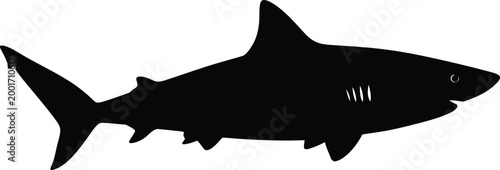 Black silhouette of a great white shark marine predator illustration