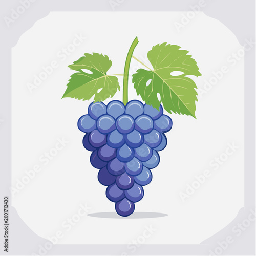 Illustration of a Bunch of Purple Grapes with Leaves