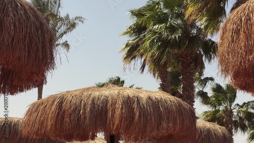 Intimate Shot Capturing Textured Straw Edge Of Beach Canopy Swaying Gently In Breeze