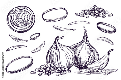 Hand drawn onion vegetable illustration in ink line art style. Set of bulb, sliced ring, and chopped piece for culinary branding, food packaging, organic grocery design, and cooking menus.