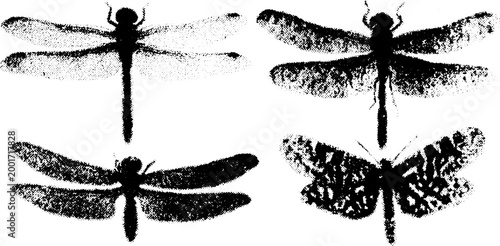 Dragonfly and butterfly silhouettes in black vector illustration style. Simple and flat design set for nature-themed projects.