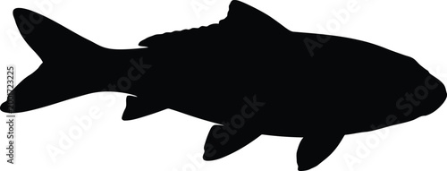 Black silhouette of a fish a simple aquatic creature representation