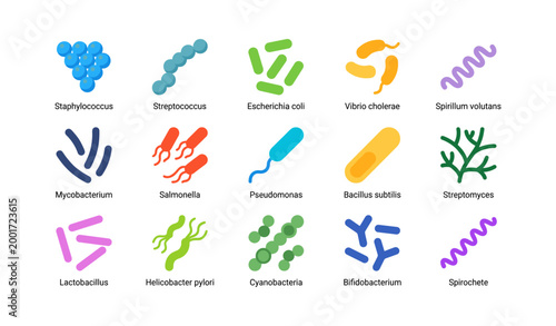 Bacteria and microbe icons showing microbial shapes on white
