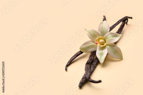 Beautiful vanilla flower an...