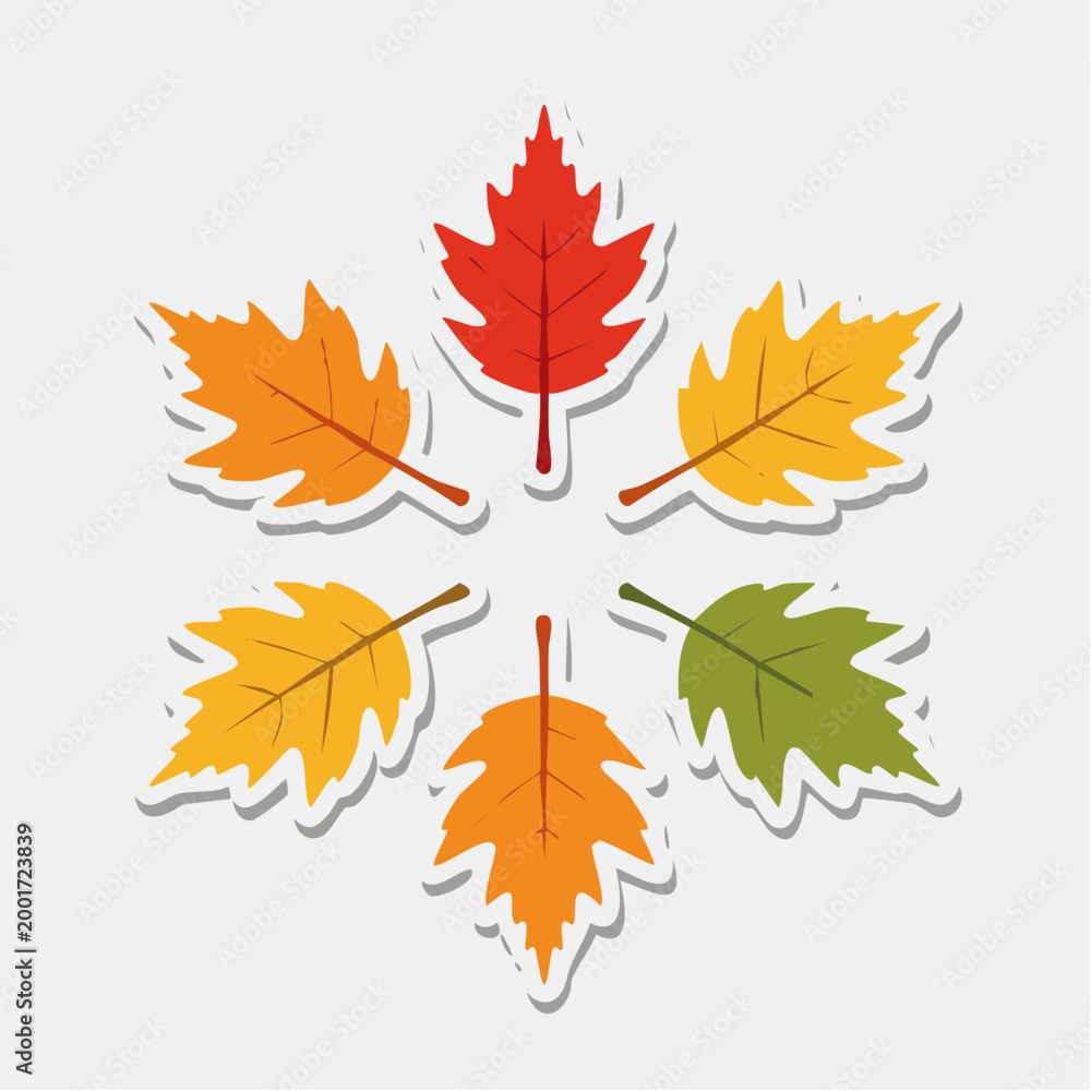 Fototapeta premium Autumn Leaves Arrangement