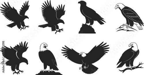 eagle silhouettes set, flying and perched birds of prey vector illustration, wildlife predator collection, isolated on white background, detailed design