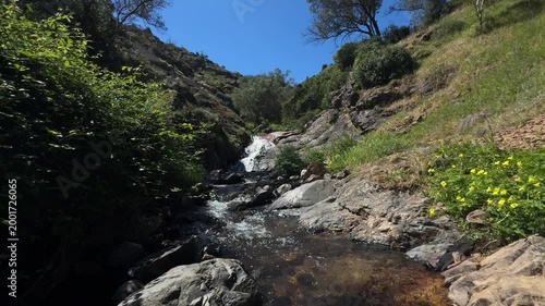 View of a beautiful and healthy forest river in the Monchique region.