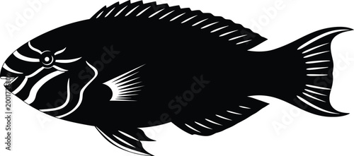 Black and white illustration of a fish with detailed fin structure