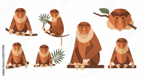 Macaques in various poses.