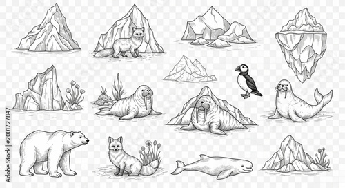 Bild auf Leinwand Collection of Arctic animals and icy landscapes hand-drawn sketches