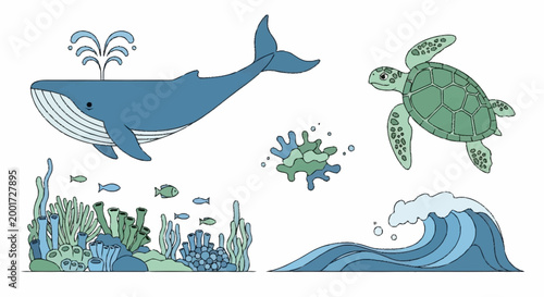 Marine Life Ocean Creatures.
