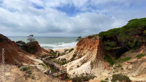 Landscape view of the Algarve coast, red cliffs, several pine trees on the upper part of the cliffs, beautiful blue sky