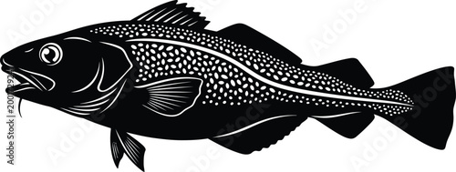Vintage black and white illustration of a rockfish or sebastes fish